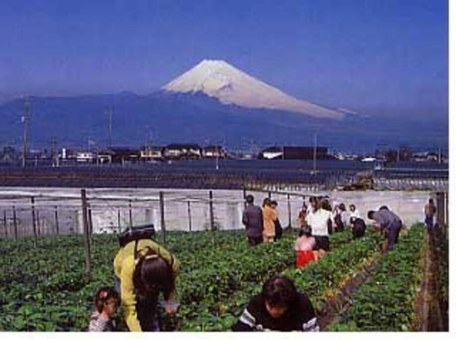 ゲストハウス+カフェわ　１日１組限定！ 築１００年の農家の古民家で宿泊体験、薪でお風呂沸かせます。焚き火もできます。 Kannami Bagian luar foto